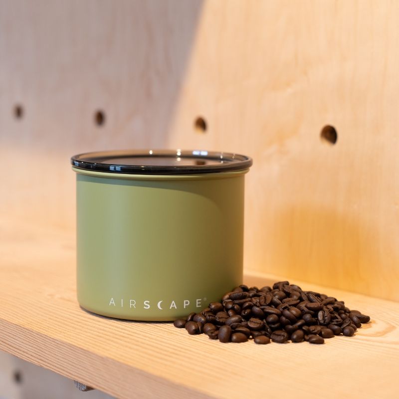Airscape Matte Lichen Green Coffee Canister