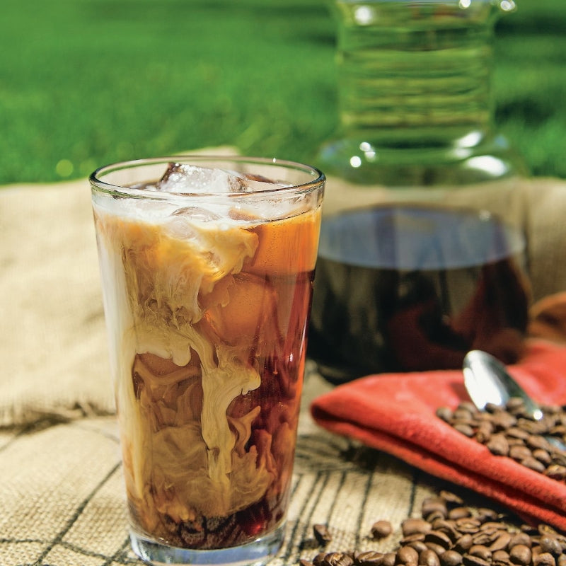 Toddy Domestic Cold Brew Coffee Maker System